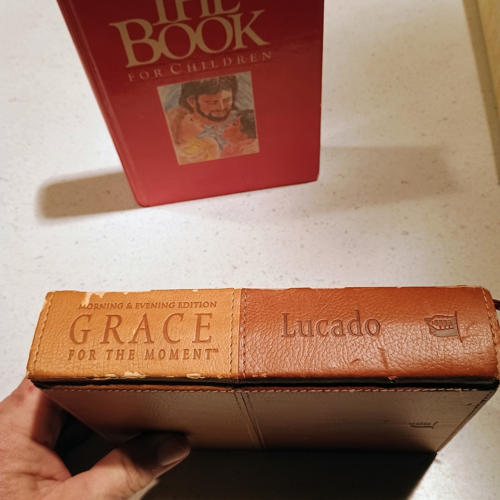 Grace for the Moment Book by Max Lucado - Picture 3 of 7